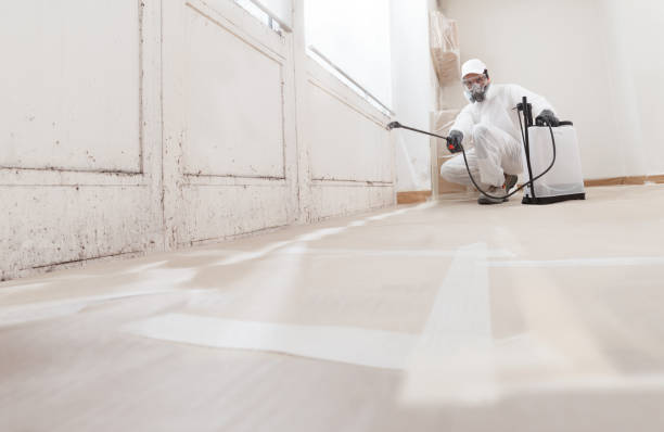 24/7 Emergency Basement Mold Removal experts in Leck Kill, PA